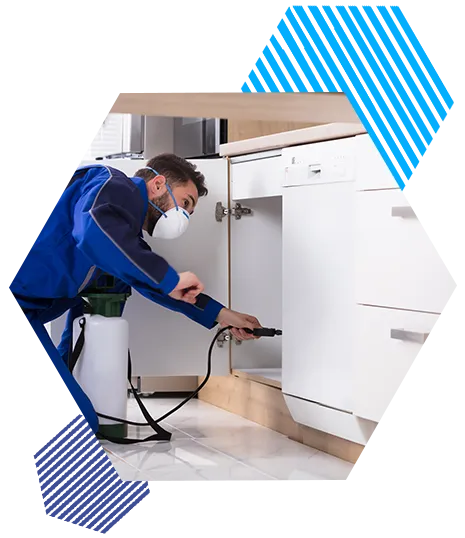 Pest Control left feature image